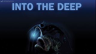 Into The Deep